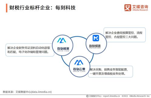 2021上半年中國(guó)財(cái)稅企業(yè)服務(wù)行業(yè)研究報(bào)告 信息咨詢(xún)服務(wù)的新趨勢(shì)與機(jī)遇