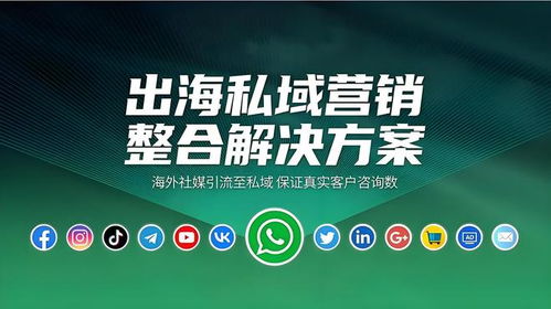 海外社媒代運(yùn)營(yíng)性?xún)r(jià)比深度分析 如何為您的企業(yè)挑選合適的優(yōu)質(zhì)服務(wù)